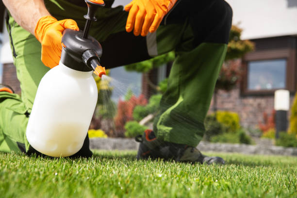 Best Cockroach Control Services  in Woodlands, CA