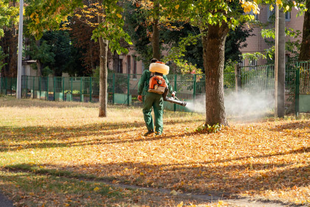 Best Rat Extermination Near Me  in Woodlands, CA